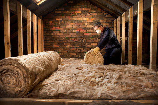 istockphoto 523789101 612x612 1
